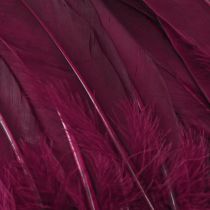 Article Plumes décoratives plumes d&#39;oie bordeaux fournitures artisanales 20g x 2 pièces