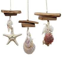 Déco cintre maritime décoration à suspendre coquillages étoile de mer 27cm 3pcs