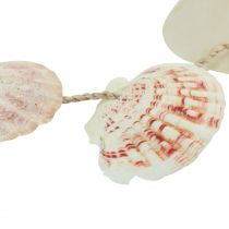 Article Support décoratif décoration coquillage maritime naturel Ø5–10cm 70cm