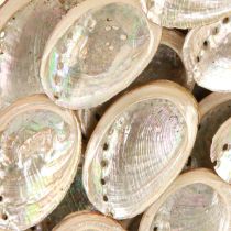 Article Couronne à suspendre Bois et coquilles d'ormeaux Ø30cm