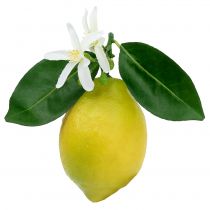 Fruits décoratifs, citrons avec feuilles jaunes 9.5cm 4pcs