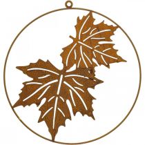 Anneau décor feuille patine métal anneau décoration rouille décoration murale Ø30cm