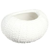 Article Bol décoratif ovale maritime en céramique blanc 19x15x8,5cm