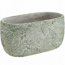 Bol décoratif céramique ovale vert blanc gris branches de sapin L22.5cm