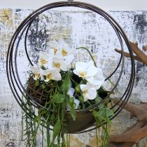 Coupe décorative pour panier à fleurs suspendu métal Ø31cm H55,5cm