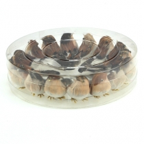 Article Oiseaux déco 9cm sur fil 16 pcs