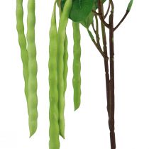 Article Branche décorative branche de haricot plante artificielle verte 68cm