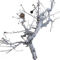 Article Branches déco bonsaï bois déco branches lavé blanc 800g