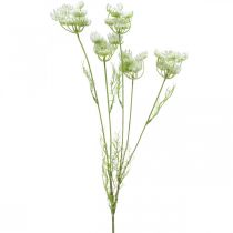 Article Aneth fleuri, plante artificielle, herbes artificielles vert, blanc L80cm