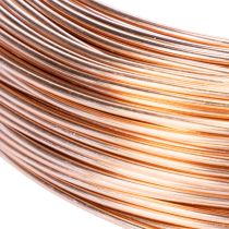 Article Bobine de fil d'aluminium pour loisirs créatifs et art floral, 60 m, 500 g