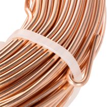 Article Bobine de fil d'aluminium pour loisirs créatifs et art floral, 60 m, 500 g