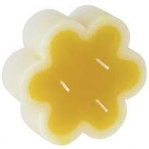 Article Bougie trois mèches bougie fleur décorative jaune blanc Ø11,5cm H4cm