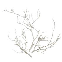 Article Arbre Sec Blanc lavé 500g