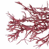 Dekoast branche de corail rouge blanchi 500g