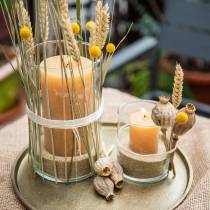 Article Bougies de couleur unie, couleurs miel, différentes tailles