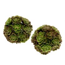 Boule d’echeverias verte 4 p.