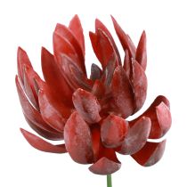 Plantes Vertes Artificielles Succulentes Echeveria Rouge Ø12cm 19,5cm