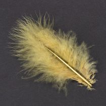 Article Plumes véritables pour loisirs créatifs, jaune clair, 5 à 10 cm, 20 g
