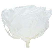 Article Roses éternelles blanches Fleurs stabilisées Ø8,5cm 4pcs