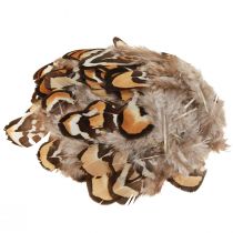 Article Plumes d&#39;oiseaux véritables plumes décoratives rayées 3-4cm 60 pcs