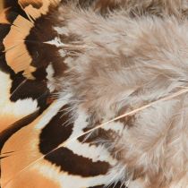 Article Plumes d&#39;oiseaux véritables plumes décoratives rayées 3-4cm 60 pcs