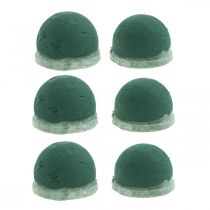 Article Oasis Ecobase urne décoration mousse florale fleuriste commémorative Ø6,5cm 6 pcs