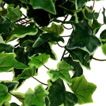 Article Cintre Ivy blanc-vert 70cm