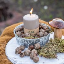 Glands pour décorer, décorations d&#39;automne, fruits d&#39;automne bien sûr Ø1,5 - 2,5cm L1,5 - 3cm 300g
