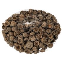 Article Ecailles de glands naturelles 2 cm 300 g décoration automne et Noël