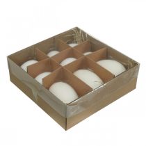 Article Mélange d'œufs de cygne et d'œufs de poule blancs soufflés 5,5/8 cm 9 pièces