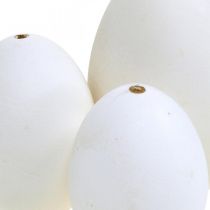 Article Mélange d&#39;œufs de cygne et d&#39;œufs de poule blancs soufflés 5,5/8 cm 9 pièces