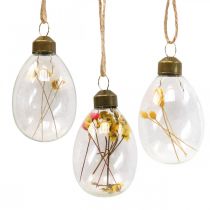 Oeufs suspendus, fleurs séchées, oeufs de Pâques, décorations en verre pour le printemps H6,5cm, lot de 6