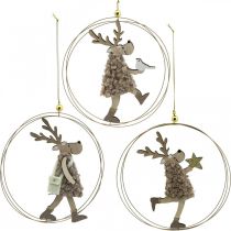 Renne à suspendre, pendentif de Noël, décoration de l&#39;Avent dans un anneau Ø15cm lot de 3