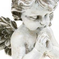 Ange priant, fleuriste funéraire, buste d&#39;ange, décoration de tombe H19cm L19.5cm