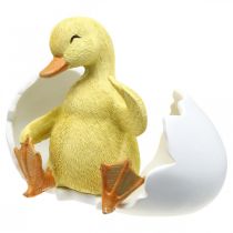 Article Poussin éclos, figure de canard, caneton dans l'oeuf H10cm W12.5cm