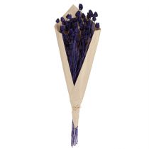 Article Bouquet de Chardons Séchés Violets 44-58 cm 100 g