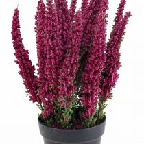 Erika violet bruyère genêt bruyère plante artificielle H26cm