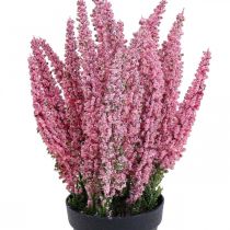Plante artificielle bruyère genêt bruyère rose Erika H26cm