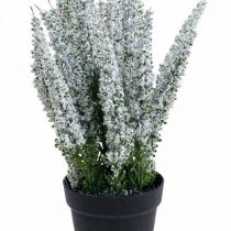 Erika blanc bruyère genêt bruyère plante artificielle H26cm