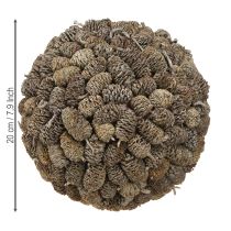 Article Boule décorative en cône d&#39;aulne à suspendre, blanchie à la chaux, 20 cm