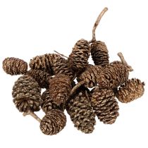 Article Pommes d'aulne naturelles dorées 3 cm 300 g pour décoration et bricolage
