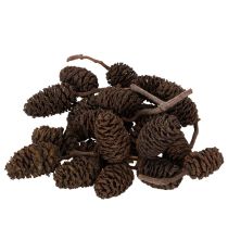 Article Pommes de aulne naturelles non traitées 3 cm 300 g marron naturel pour décoration
