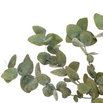 Article Branches et feuilles décoratives d'eucalyptus séchées et stabilisées, rondes, vertes, 150 g