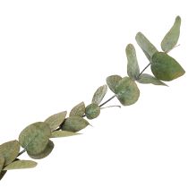 Article Branches et feuilles décoratives d'eucalyptus séchées et stabilisées, rondes, vertes, 150 g