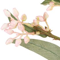 Article Branche d&#39;eucalyptus artificielle, feuilles et bourgeons, 75 cm, 2 pièces