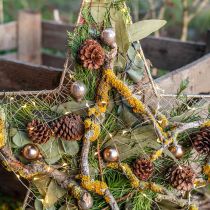 Eucalyptus Branches Stabilisées Feuilles Rondes Vertes 150g