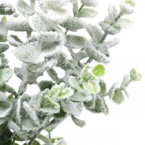 Branche d&#39;eucalyptus artificielle recouverte de neige Branche déco eucalyptus Noël 48cm