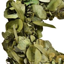 Article Couronne d&#39;eucalyptus couronne naturelle eucalyptus stabilisé Ø35cm