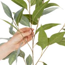 Article Branche d’eucalyptus artificielle verte nature 100 cm