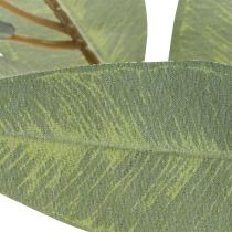 Article Branche d’eucalyptus artificielle verte nature 100 cm